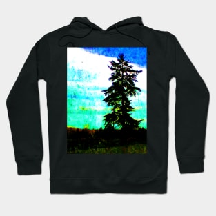 PNW Cascadia Springtime Scenery Hoodie